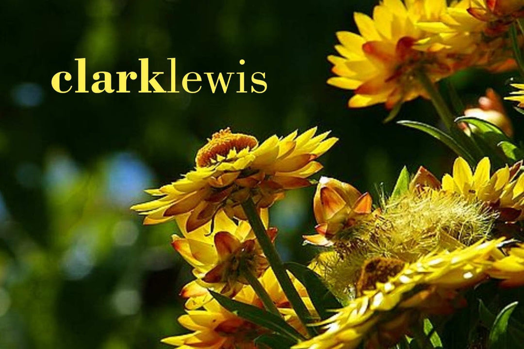 The Most Beautiful Day of the Year